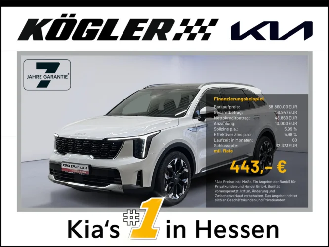Details zum Fahrzeug: KIA Sorento 2.2D AWD PLATINUM NAP PREM GD